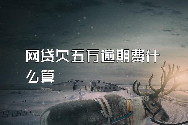 网贷欠五万逾期费什么算