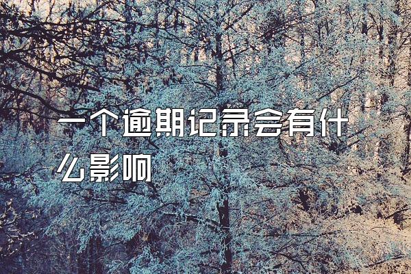 一个逾期记录会有什么影响