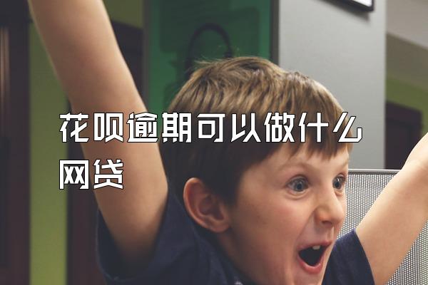 花呗逾期可以做什么网贷