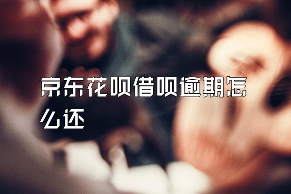 京东花呗借呗逾期怎么还