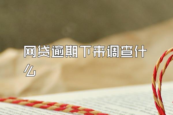 网贷逾期下来调查什么