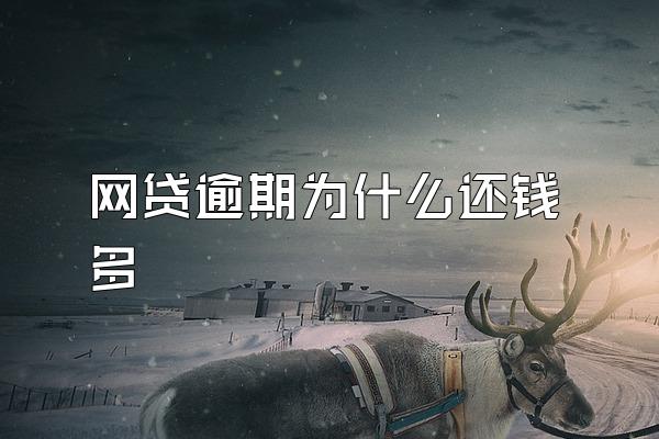 网贷逾期为什么还钱多