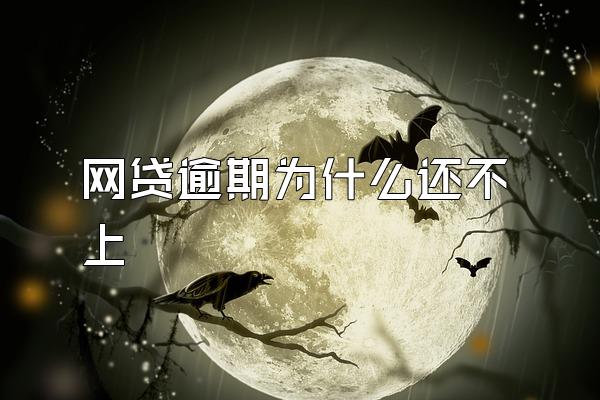 网贷逾期为什么还不上