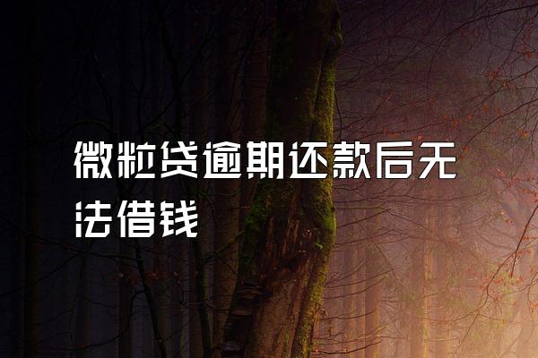 微粒贷逾期还款后无法借钱