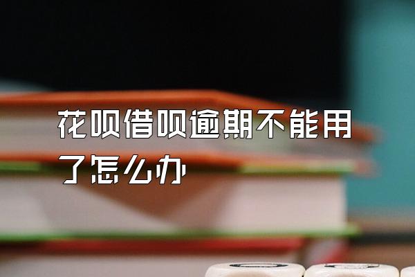 花呗借呗逾期不能用了怎么办