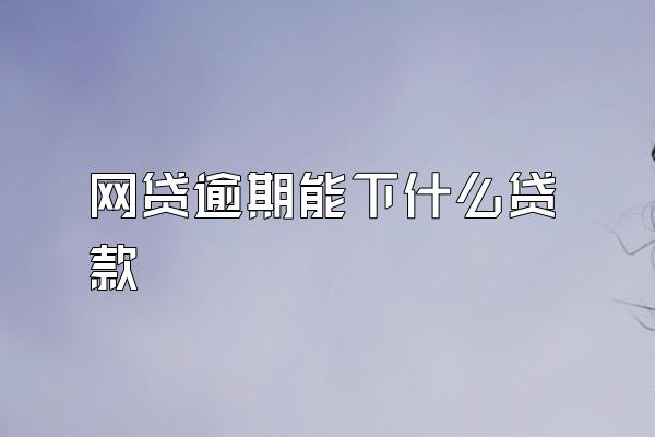 网贷逾期能下什么贷款