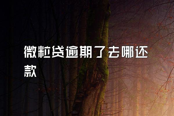 微粒贷逾期了去哪还款