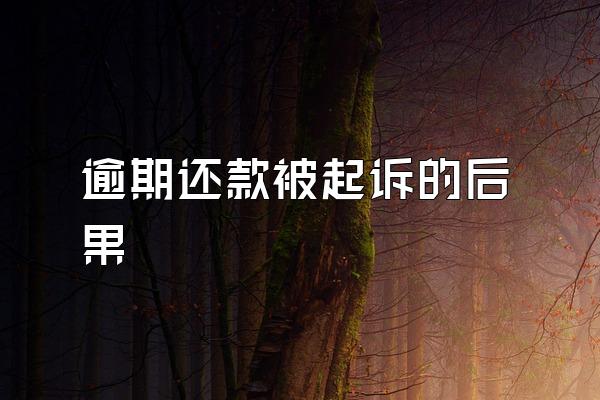 逾期还款被起诉的后果