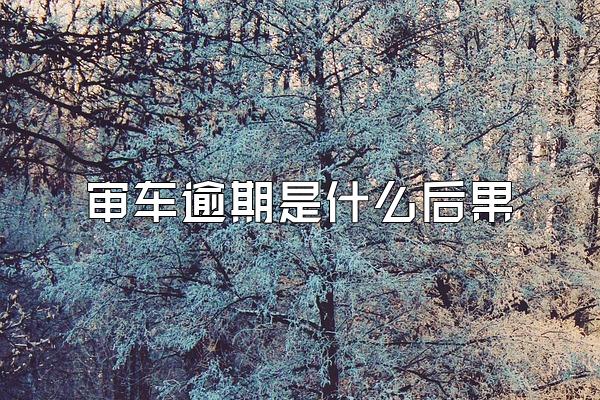 审车逾期是什么后果