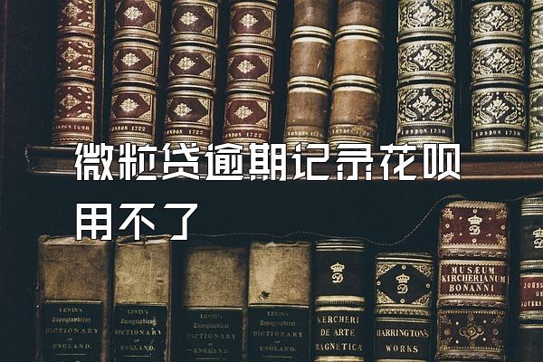 微粒贷逾期记录花呗用不了