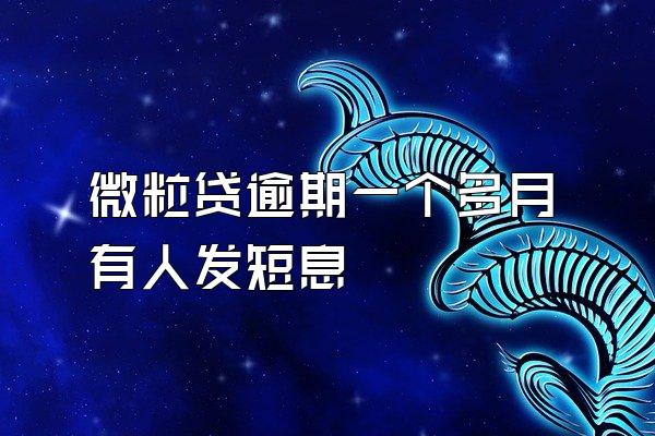微粒贷逾期一个多月有人发短息