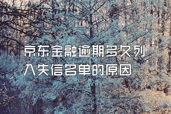 京东金融逾期多久列入失信名单的原因