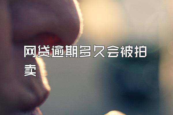 网贷逾期多久会被拍卖