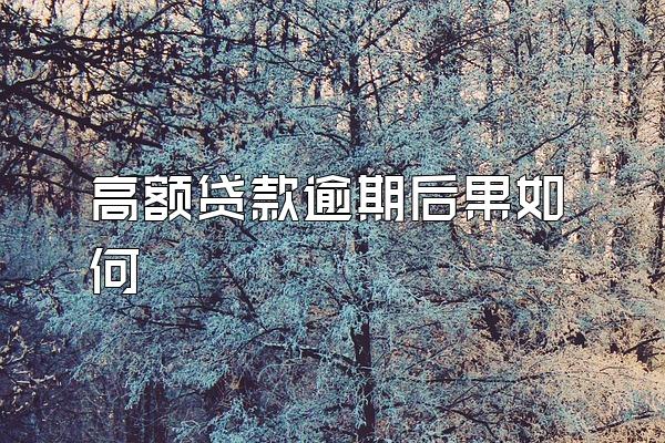 高额贷款逾期后果如何