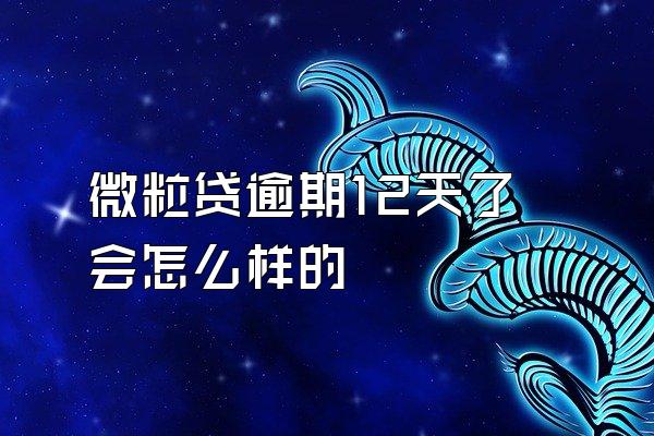 微粒贷逾期12天了会怎么样的