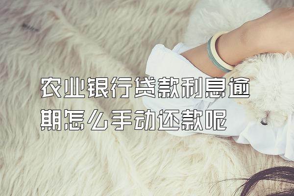 农业银行贷款利息逾期怎么手动还款呢