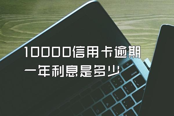 10000信用卡逾期一年利息是多少
