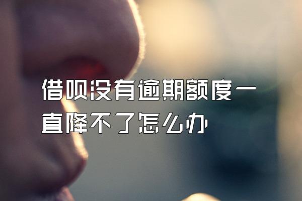 借呗没有逾期额度一直降不了怎么办