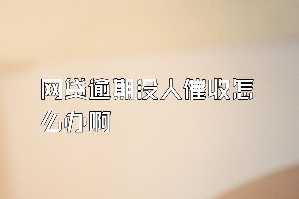 网贷逾期没人催收怎么办啊