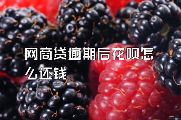 网商贷逾期后花呗怎么还钱