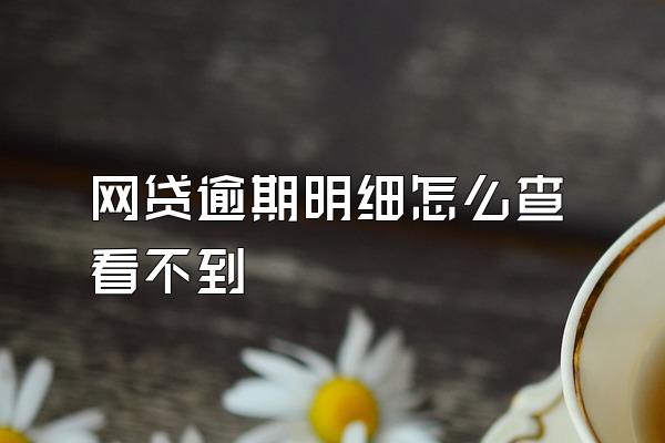 网贷逾期明细怎么查看不到