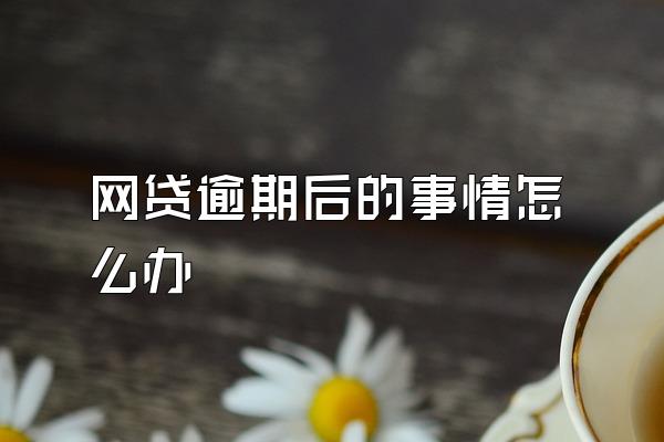 网贷逾期后的事情怎么办