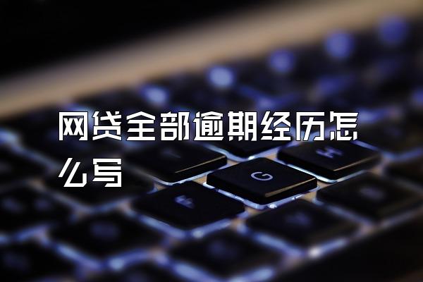 网贷全部逾期经历怎么写