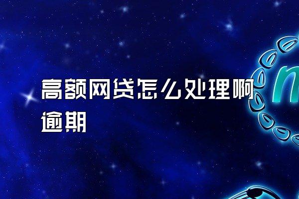 高额网贷怎么处理啊逾期