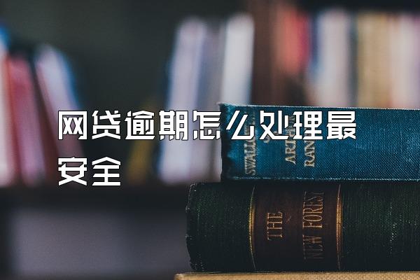 网贷逾期怎么处理最安全