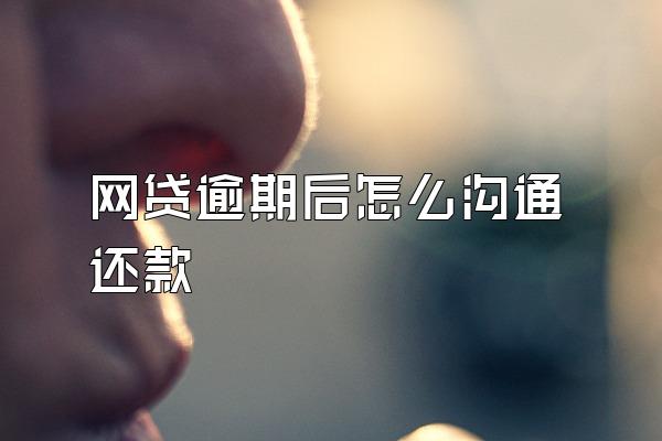 网贷逾期后怎么沟通还款