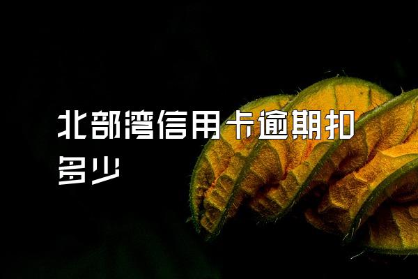 北部湾信用卡逾期扣多少