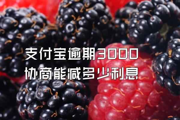 支付宝逾期3000协商能减多少利息