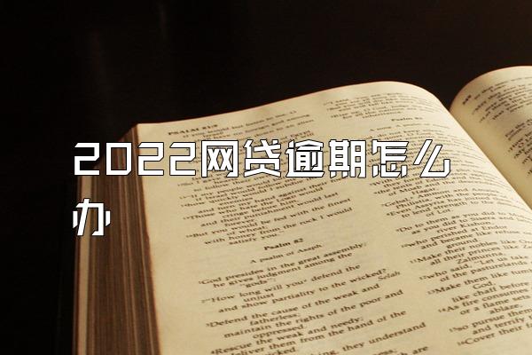 2022网贷逾期怎么办