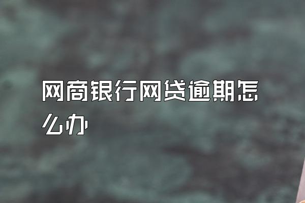 网商银行网贷逾期怎么办