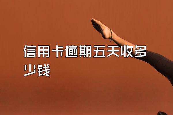 信用卡逾期五天收多少钱
