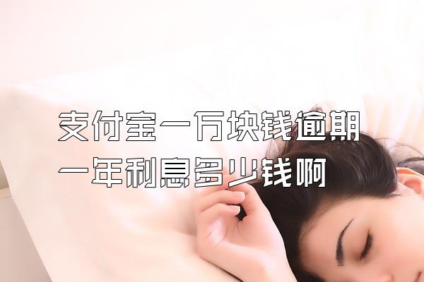 支付宝一万块钱逾期一年利息多少钱啊
