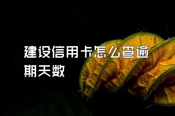 建设信用卡怎么查逾期天数
