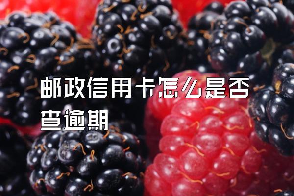 邮政信用卡怎么是否查逾期