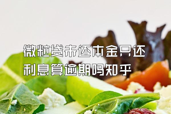 微粒贷未还本金只还利息算逾期吗知乎