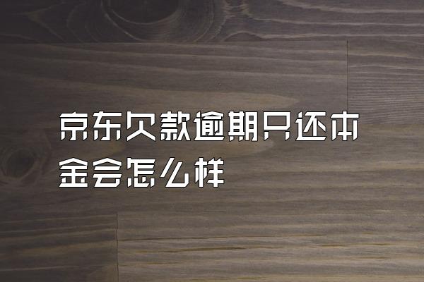 京东欠款逾期只还本金会怎么样