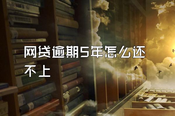 网贷逾期5年怎么还不上