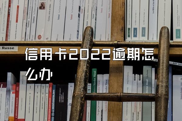 信用卡2022逾期怎么办
