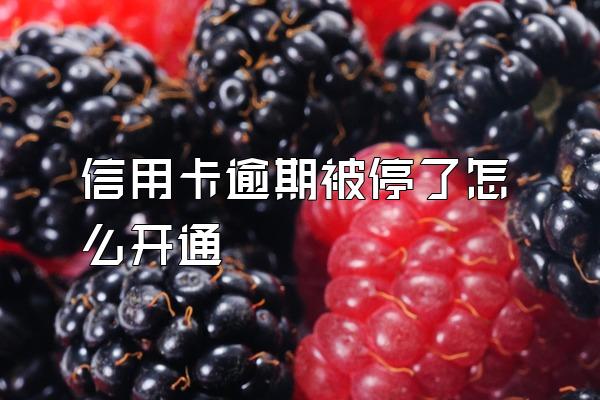 信用卡逾期被停了怎么开通