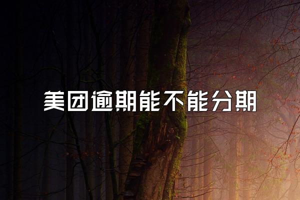 美团逾期能不能分期