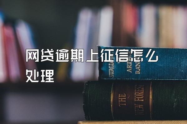 网贷逾期上征信怎么处理