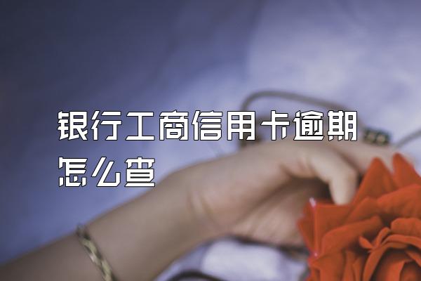 银行工商信用卡逾期怎么查