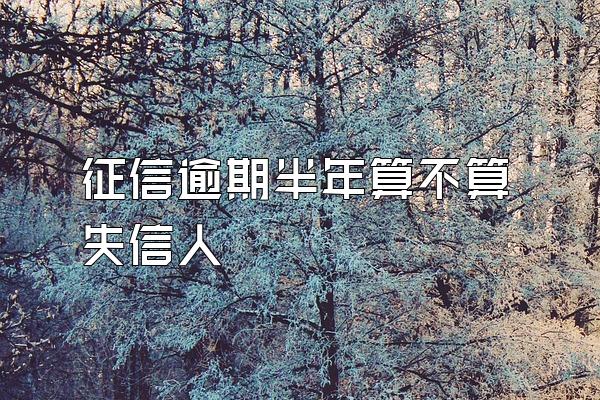 征信逾期半年算不算失信人