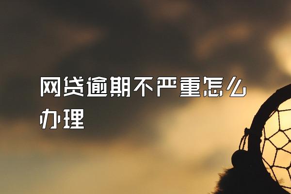 网贷逾期不严重怎么办理