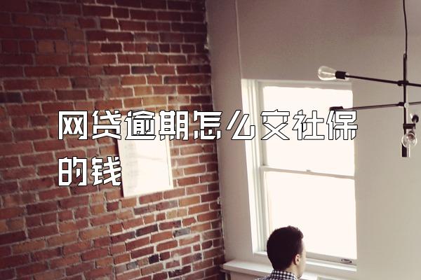 网贷逾期怎么交社保的钱