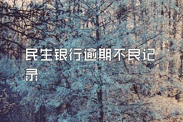 民生银行逾期不良记录